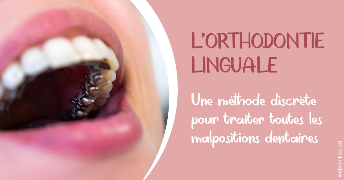 https://dr-christophe-schohn.chirurgiens-dentistes.fr/L'orthodontie linguale 2
