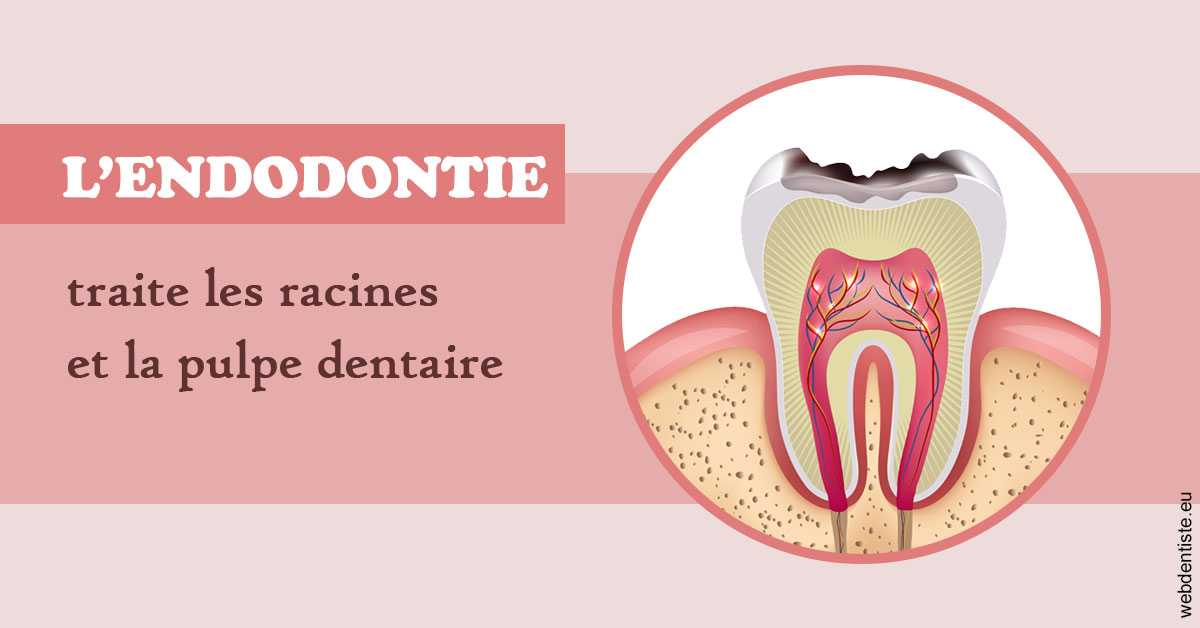 https://dr-christophe-schohn.chirurgiens-dentistes.fr/L'endodontie 2