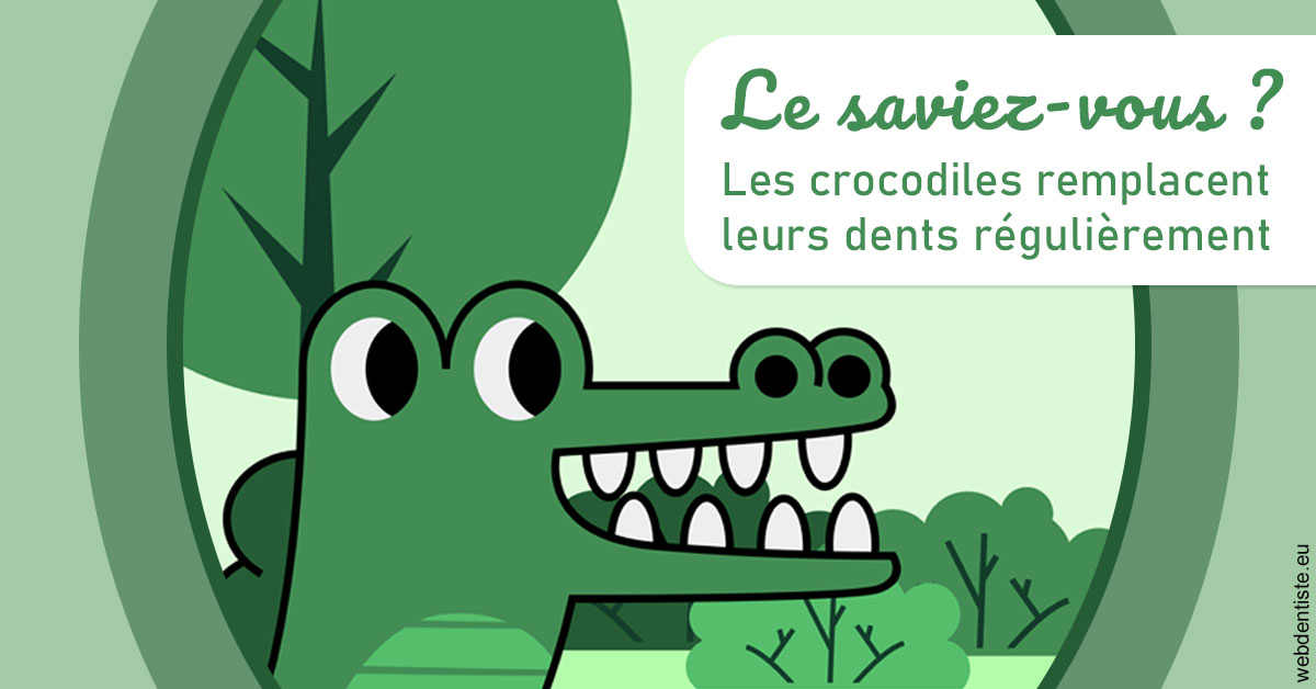 https://dr-christophe-schohn.chirurgiens-dentistes.fr/Crocodiles 2