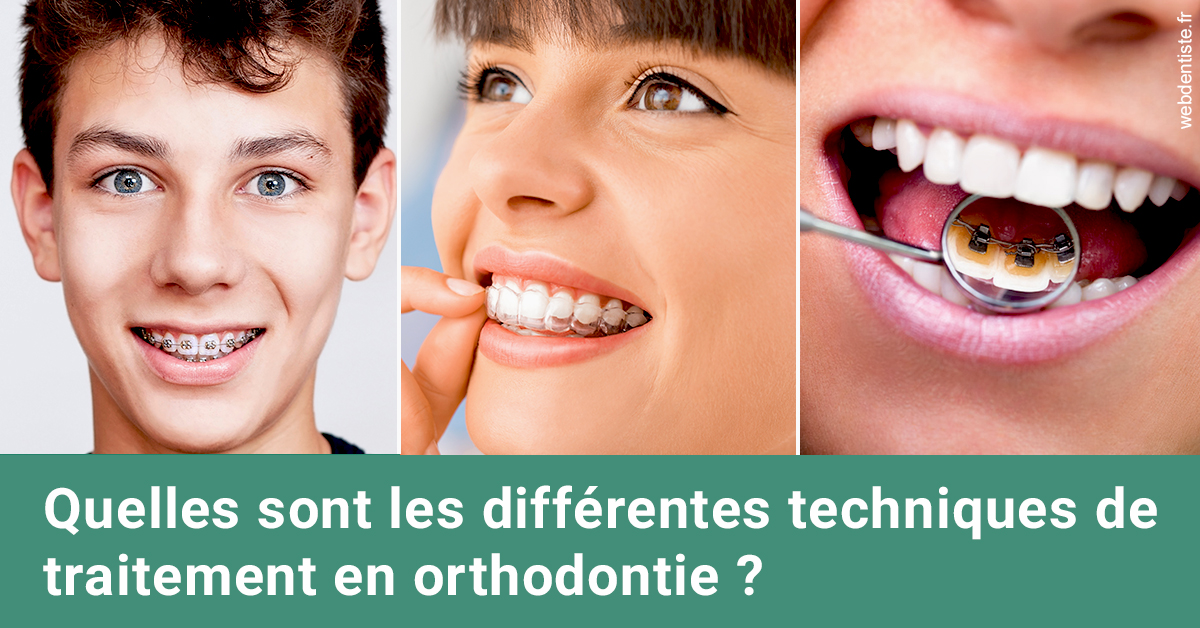 https://dr-christophe-schohn.chirurgiens-dentistes.fr/Les différentes techniques de traitement 2